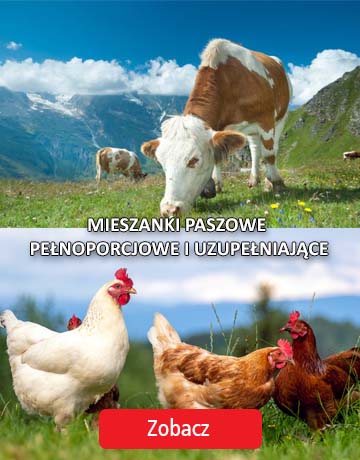 Farmer - mieszanki paszowe