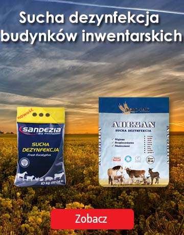 Sucha dezynfekcja budynków